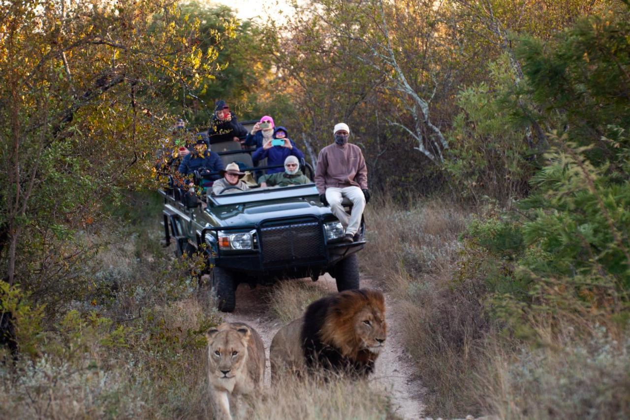 Karongwe Portfolio - Becks Safari Lodge Karongwe Game Reserve Ngoại thất bức ảnh