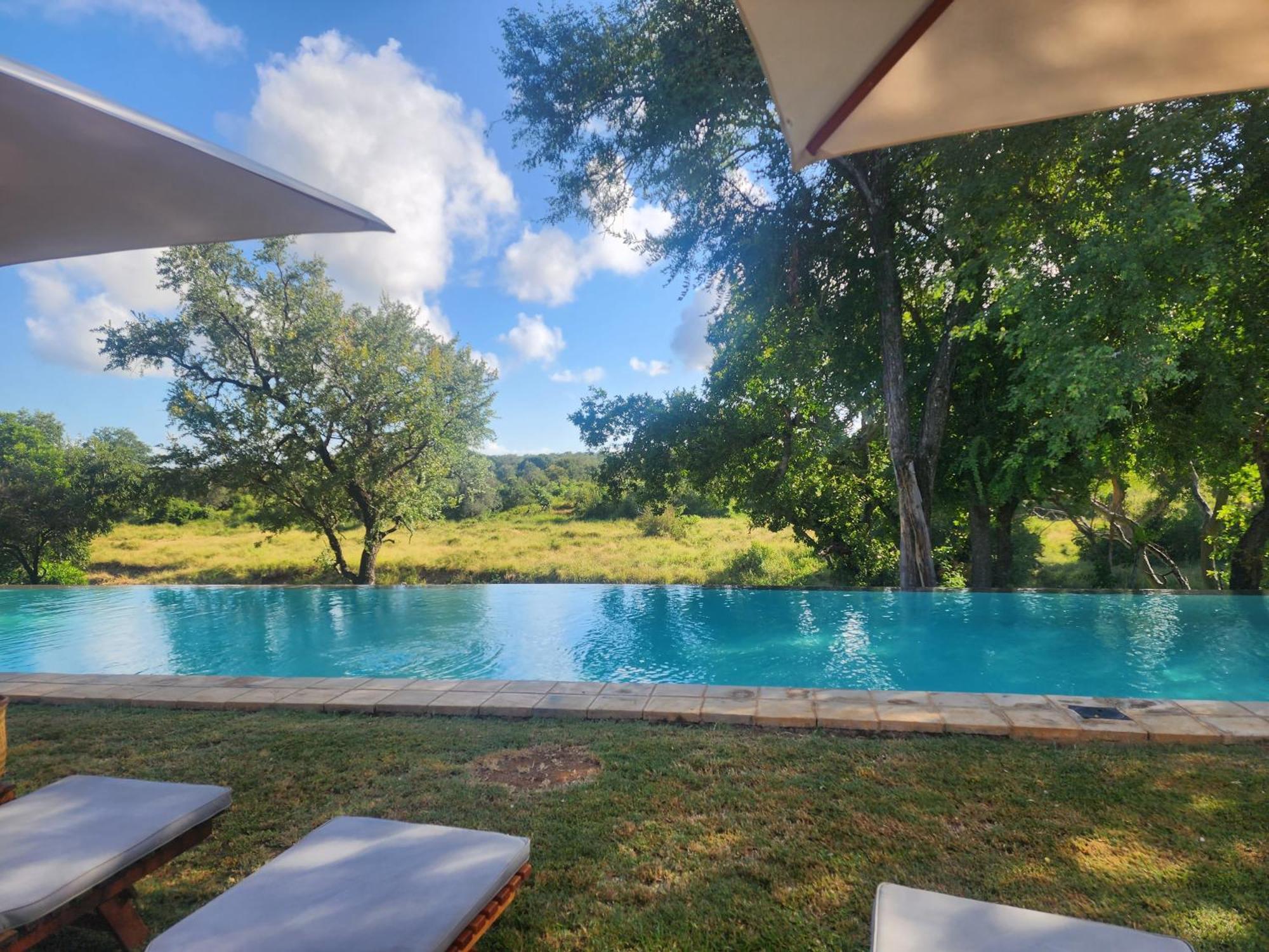 Karongwe Portfolio - Becks Safari Lodge Karongwe Game Reserve Ngoại thất bức ảnh