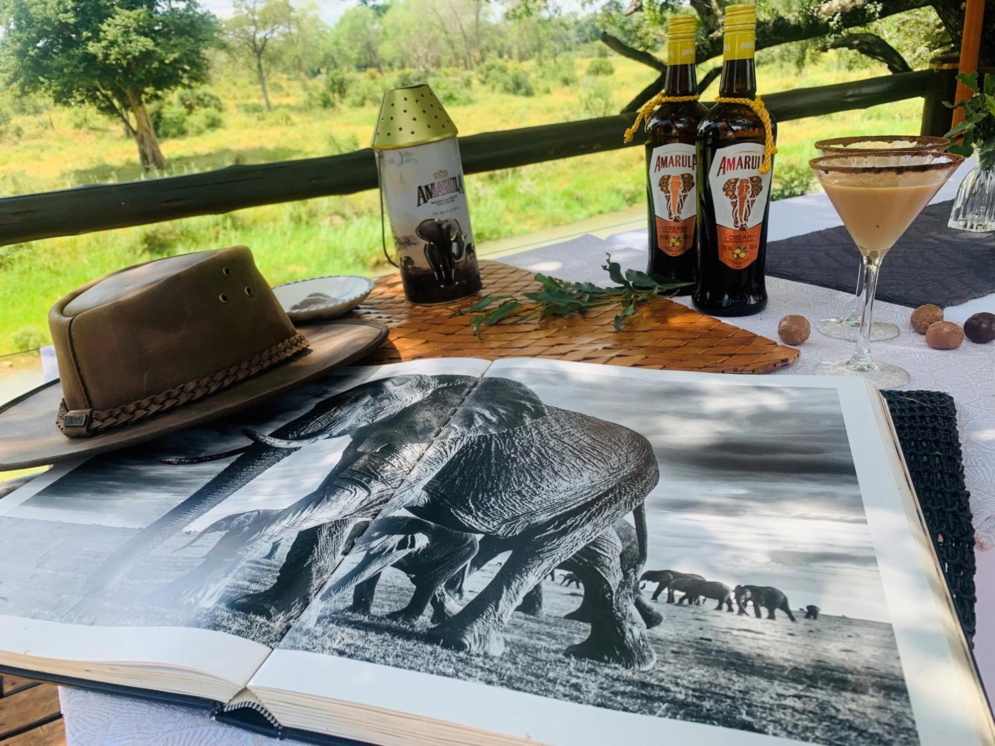 Karongwe Portfolio - Becks Safari Lodge Karongwe Game Reserve Ngoại thất bức ảnh