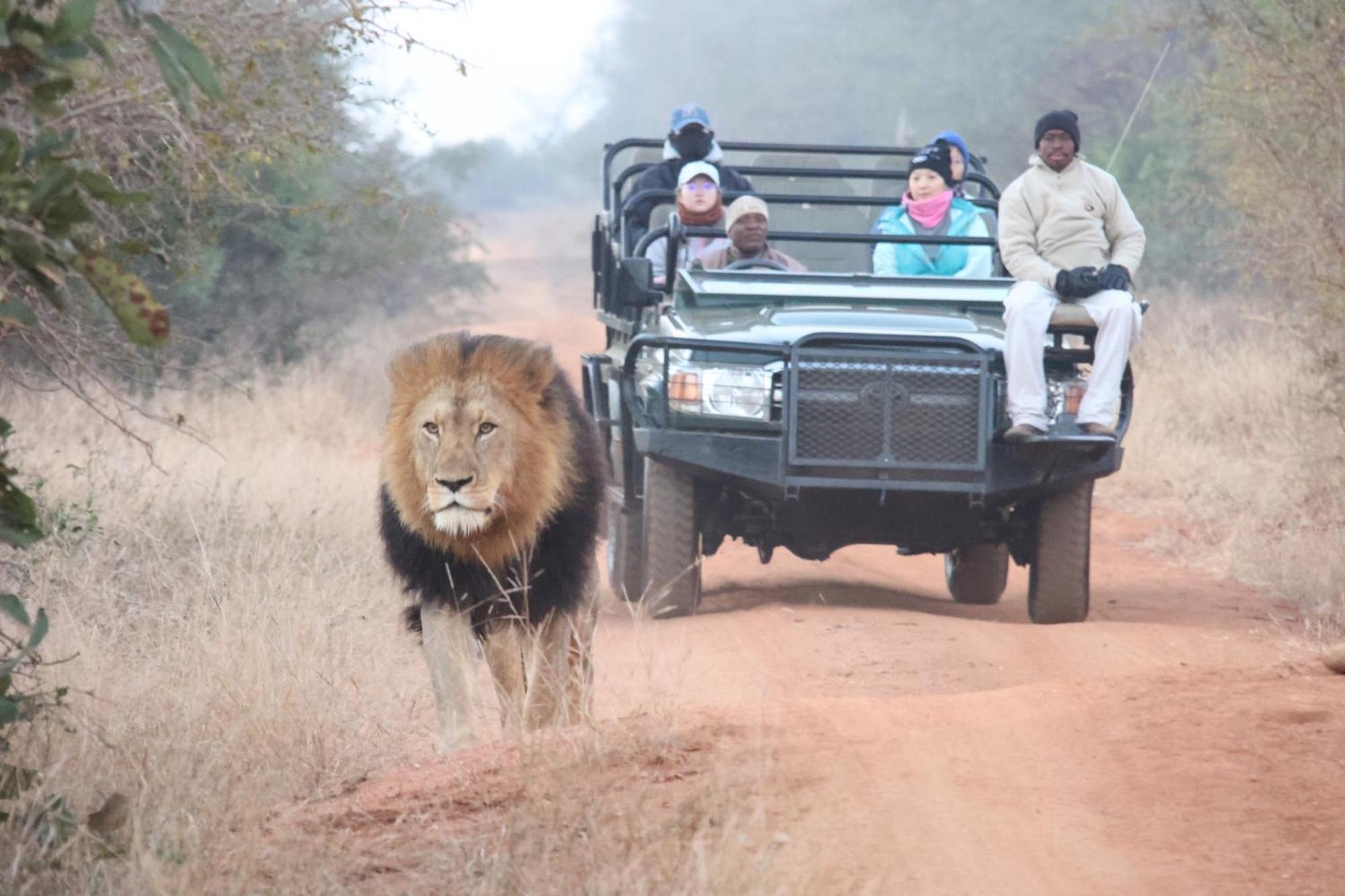 Karongwe Portfolio - Becks Safari Lodge Karongwe Game Reserve Ngoại thất bức ảnh