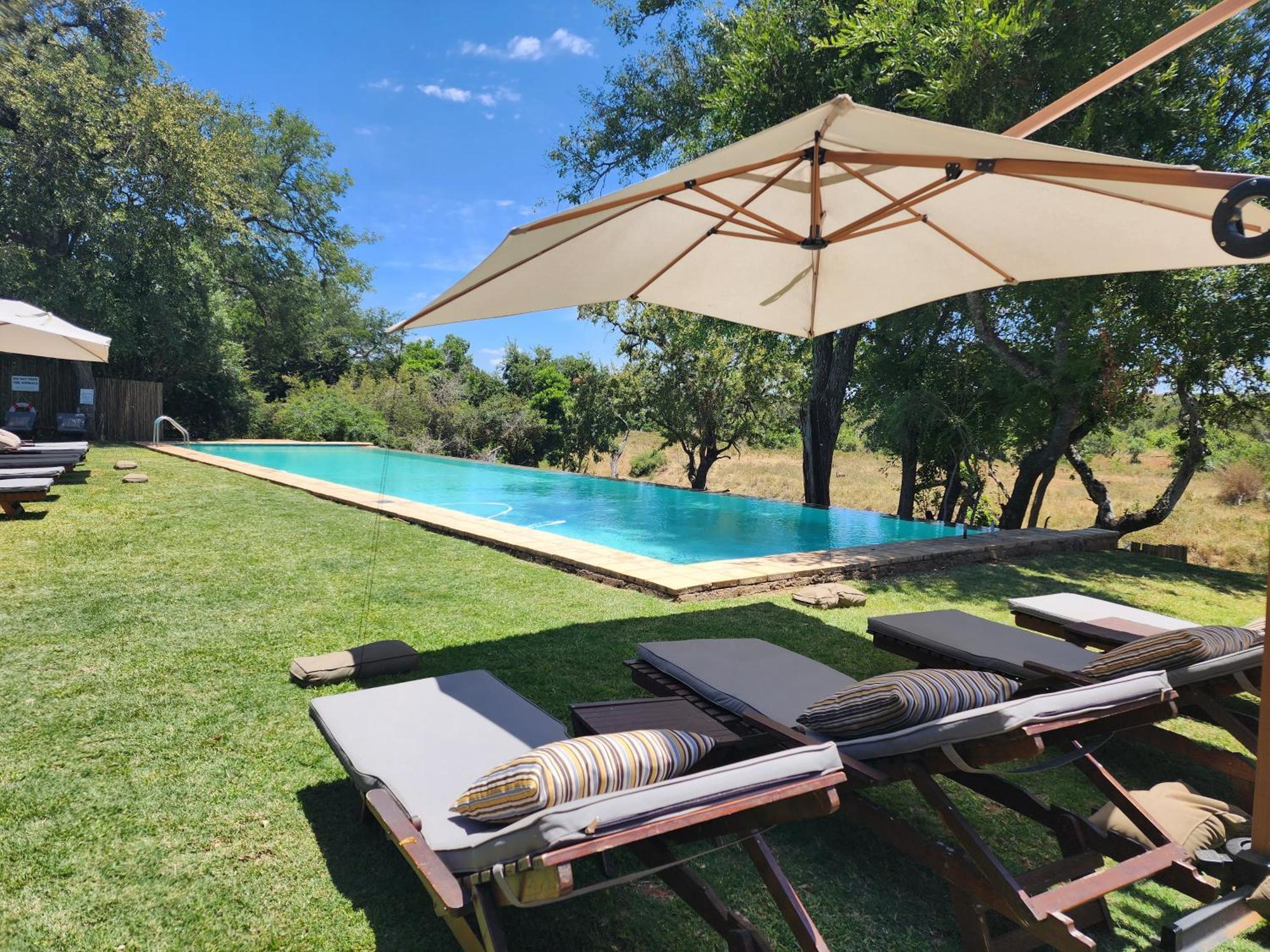 Karongwe Portfolio - Becks Safari Lodge Karongwe Game Reserve Ngoại thất bức ảnh